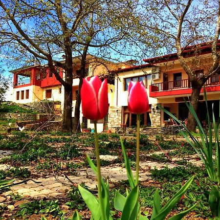Hotel Evridiki Vergina Exteriér fotografie